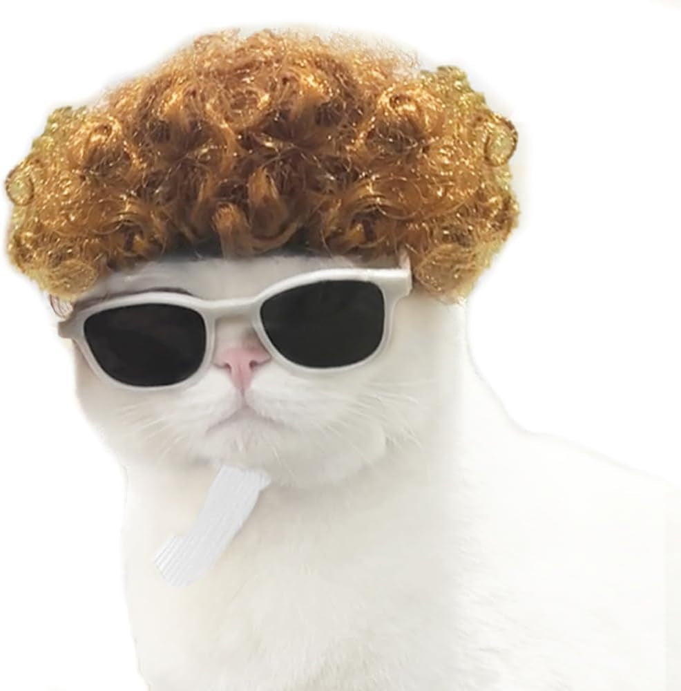 Funny Dog Cat Cosplay Wig, Perm Styling Dog Headwear,Wigs for Small Medium Dogs and Cats