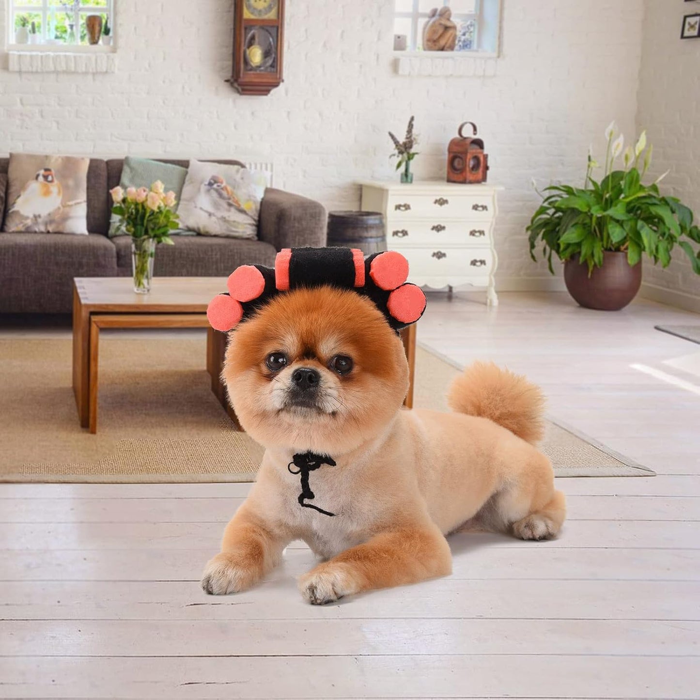 Funny Dog Cat Cosplay Wig, Perm Styling Dog Headwear,Wigs for Small Medium Dogs and Cats