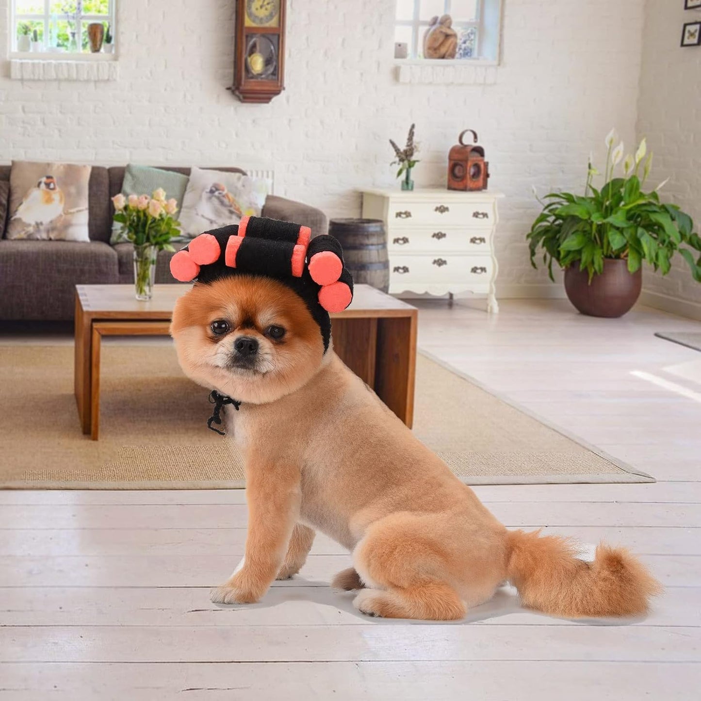 Funny Dog Cat Cosplay Wig, Perm Styling Dog Headwear,Wigs for Small Medium Dogs and Cats