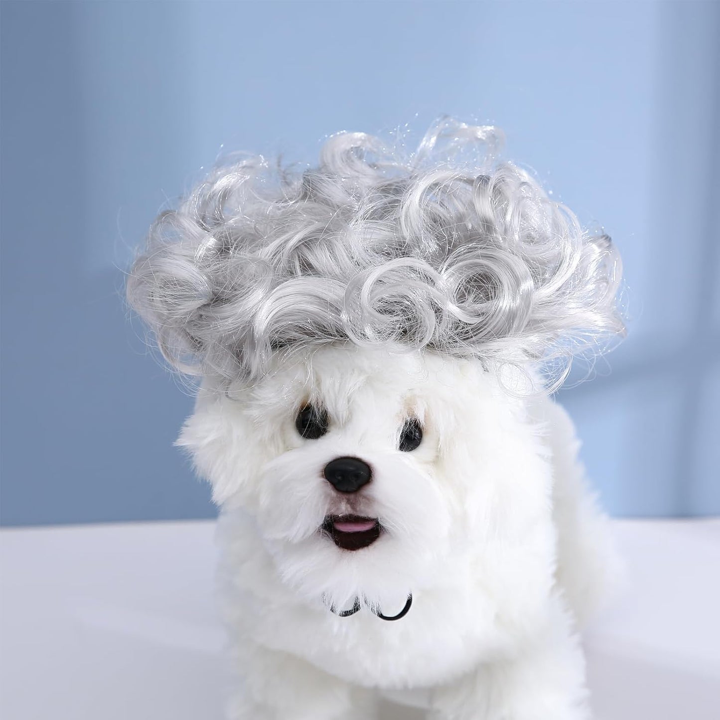 Funny Dog Cat Cosplay Wig, Perm Styling Dog Headwear,Wigs for Small Medium Dogs and Cats