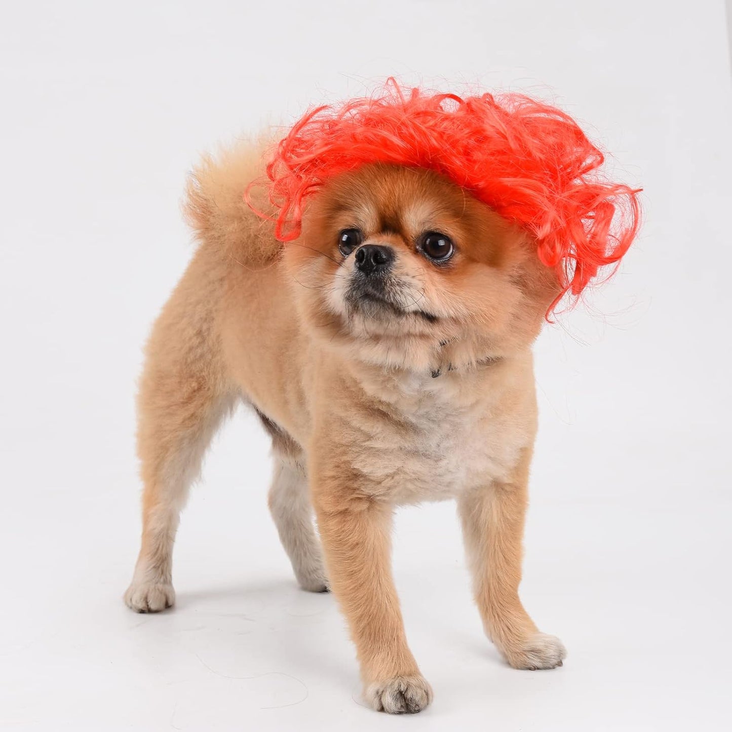 Funny Dog Cat Cosplay Wig, Perm Styling Dog Headwear,Wigs for Small Medium Dogs and Cats