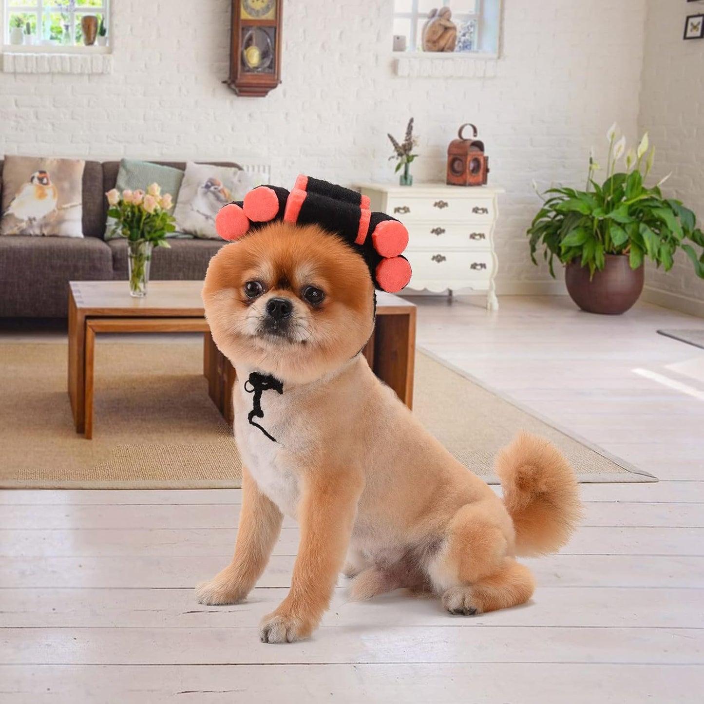 Funny Dog Cat Cosplay Wig, Perm Styling Dog Headwear,Wigs for Small Medium Dogs and Cats