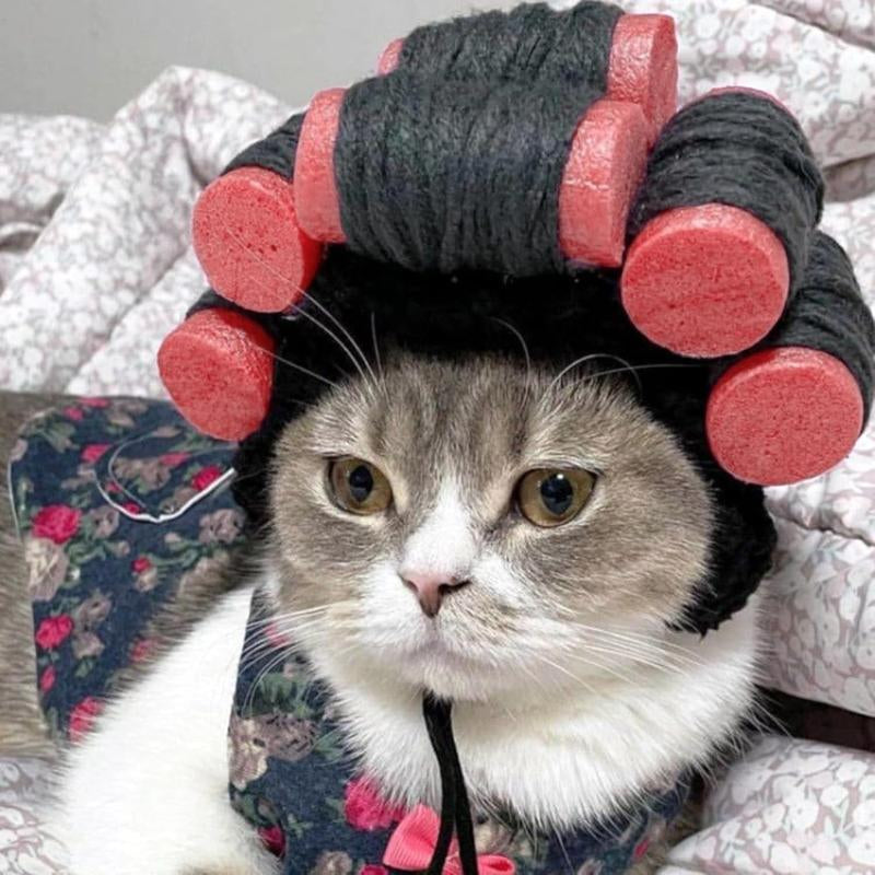 Cat Wig Funny Cute Cat Costume Hat Hair Roller Accessories Dress up Clothing Festival Party (Pink Roller)