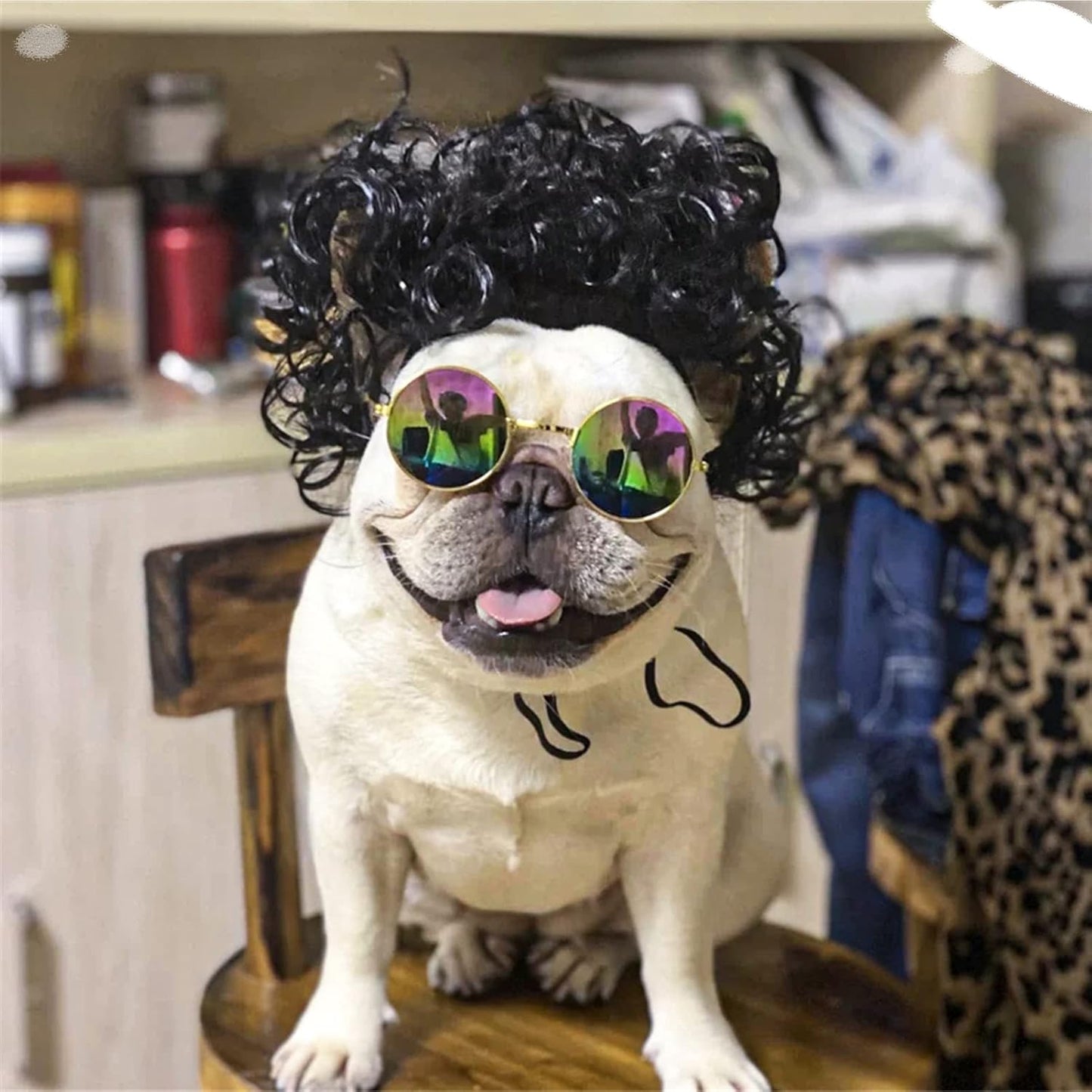 Funny Dog Cat Cosplay Wig, Perm Styling Dog Headwear,Wigs for Small Medium Dogs and Cats