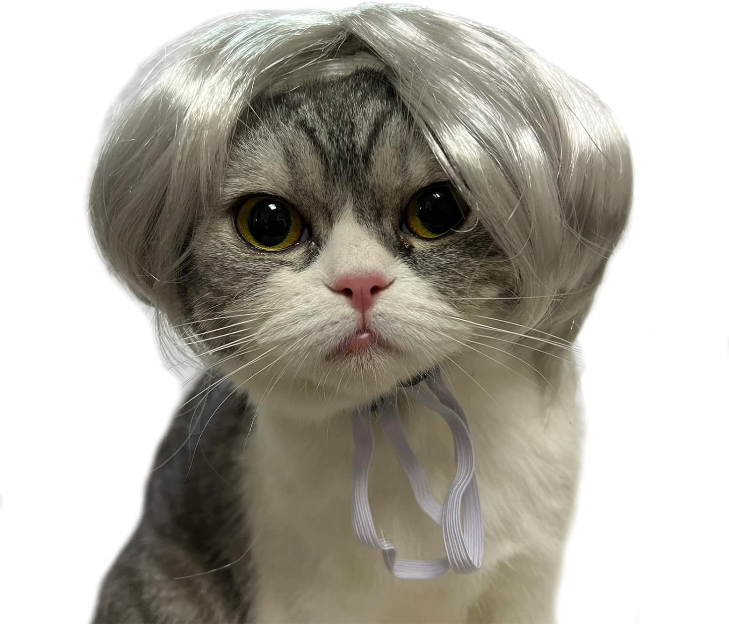 Funny Dog Cat Cosplay Wig, Perm Styling Dog Headwear,Wigs for Small Medium Dogs and Cats