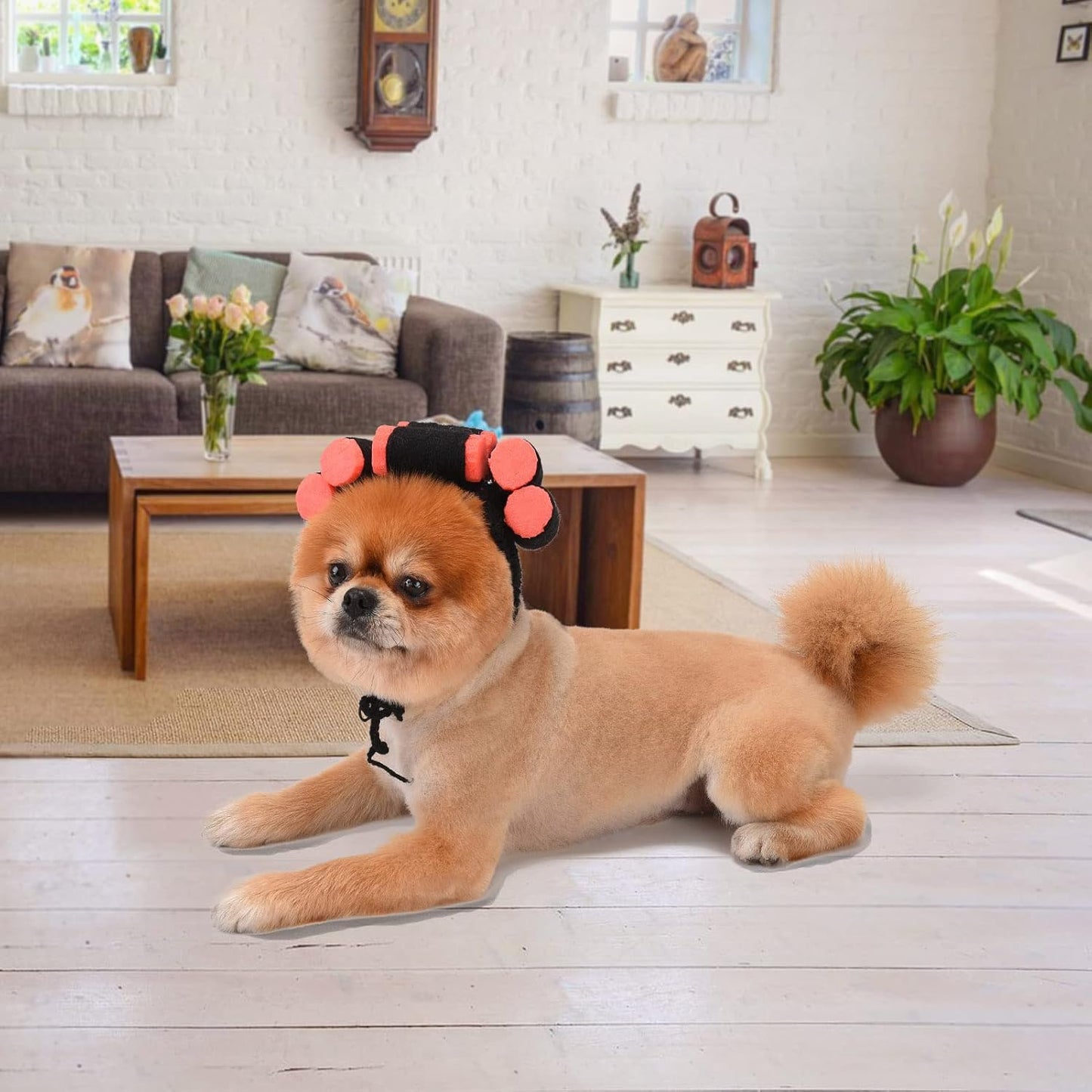 Funny Dog Cat Cosplay Wig, Perm Styling Dog Headwear,Wigs for Small Medium Dogs and Cats