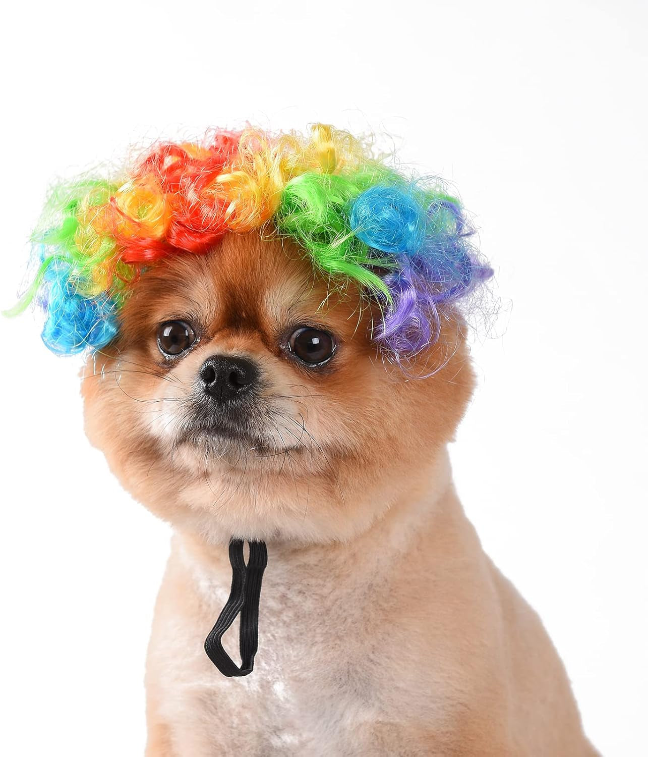 Funny Dog Cat Cosplay Wig, Perm Styling Dog Headwear,Wigs for Small Medium Dogs and Cats